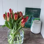 Beemster Oase Bed & Breakfast