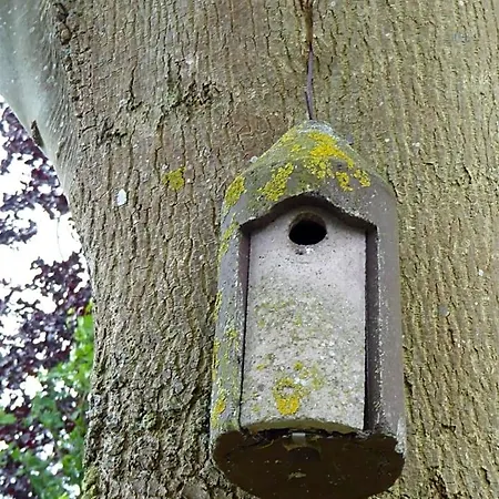 Beemster Oase Middenbeemster