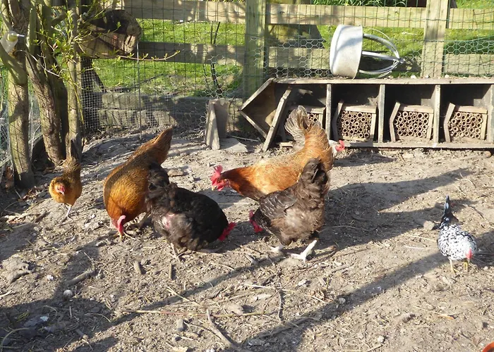 Bed & Breakfast Beemster Oase Middenbeemster