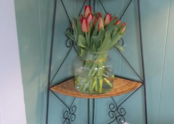 Beemster Oase Bed & Breakfast 3*