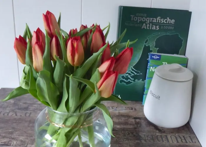 Beemster Oase Bed & Breakfast