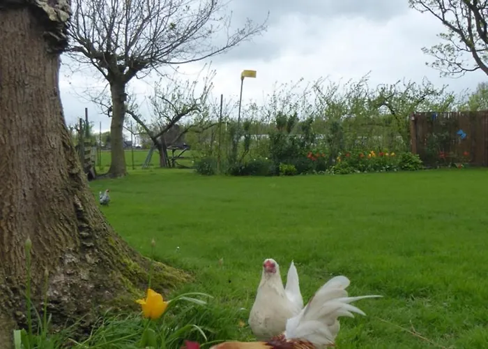 Beemster Oase Bed & Breakfast Middenbeemster