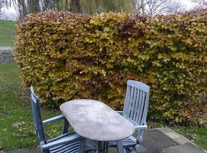 Beemster Oase Bed & Breakfast Middenbeemster