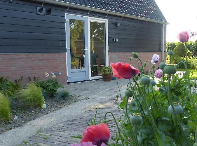 Beemster Oase Bed & Breakfast