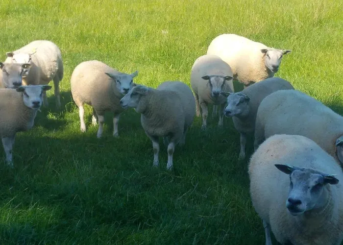 Beemster Oase Bed & Breakfast 3*