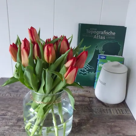 Beemster Oase Nocleg ze śniadaniem