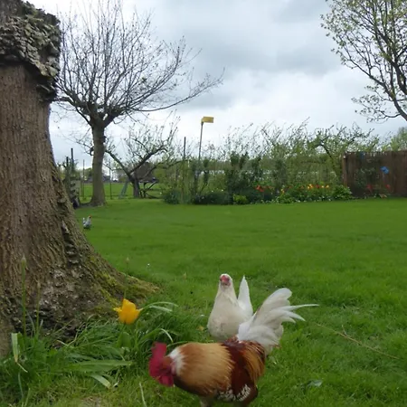 Beemster Oase Nocleg ze śniadaniem Middenbeemster