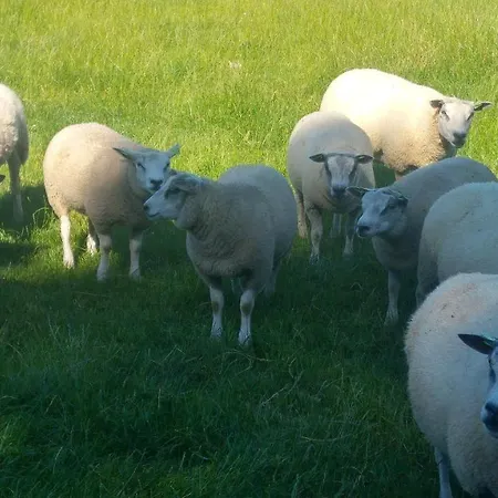 Beemster Oase Nocleg ze śniadaniem 3*